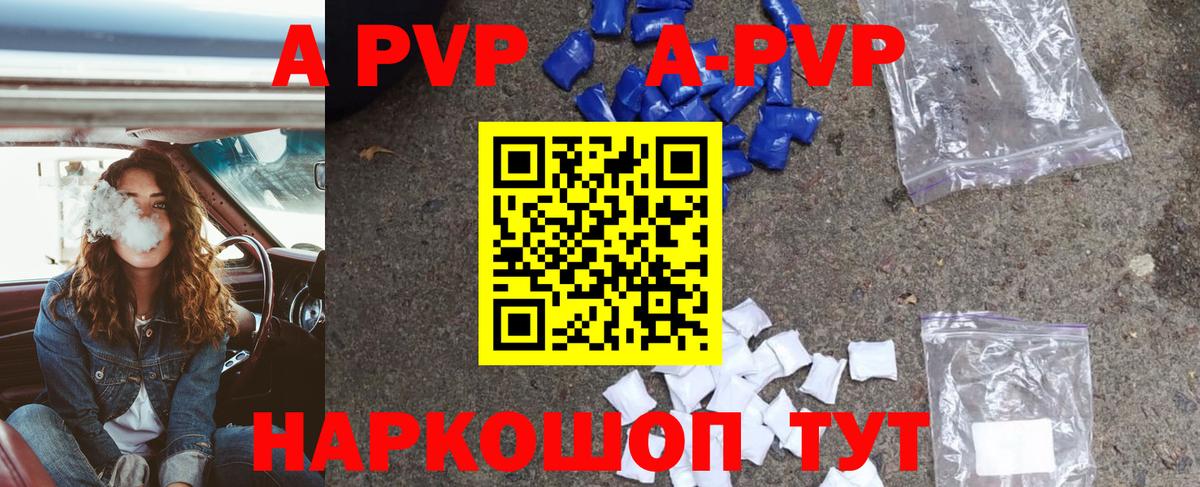 Альфа ПВП СК КРИС Малгобек